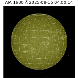 saia - 2025-08-15T04:00:14.125000