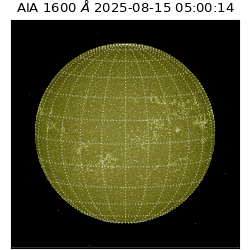 saia - 2025-08-15T05:00:14.126000