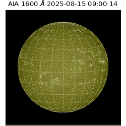 saia - 2025-08-15T09:00:14.126000