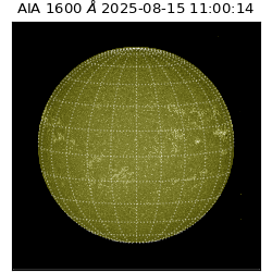 saia - 2025-08-15T11:00:14.126000