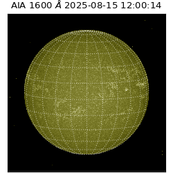 saia - 2025-08-15T12:00:14.126000