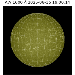 saia - 2025-08-15T19:00:14.129000