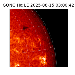 gong - 2025-08-15T03:00:42