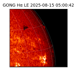 gong - 2025-08-15T05:00:42