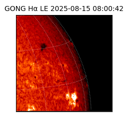 gong - 2025-08-15T08:00:42
