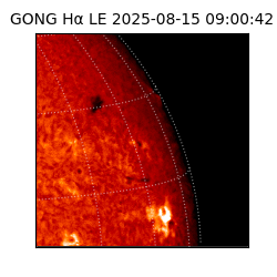 gong - 2025-08-15T09:00:42