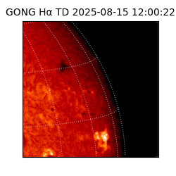 gong - 2025-08-15T12:00:22