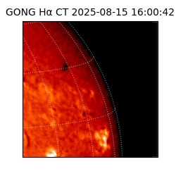 gong - 2025-08-15T16:00:42