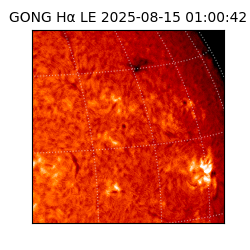 gong - 2025-08-15T01:00:42