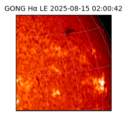 gong - 2025-08-15T02:00:42