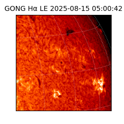 gong - 2025-08-15T05:00:42