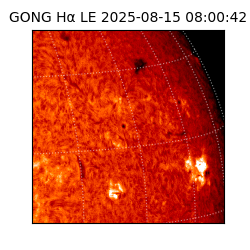 gong - 2025-08-15T08:00:42