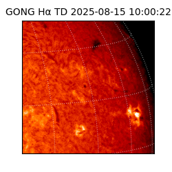 gong - 2025-08-15T10:00:22