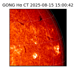 gong - 2025-08-15T15:00:42