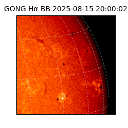gong - 2025-08-15T20:00:02