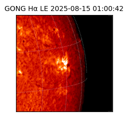 gong - 2025-08-15T01:00:42
