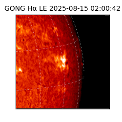 gong - 2025-08-15T02:00:42