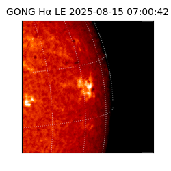 gong - 2025-08-15T07:00:42