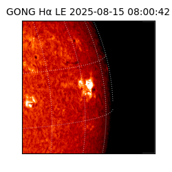 gong - 2025-08-15T08:00:42