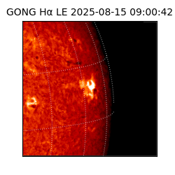 gong - 2025-08-15T09:00:42