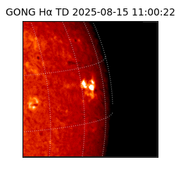 gong - 2025-08-15T11:00:22