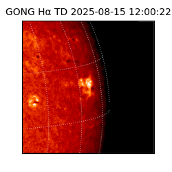 gong - 2025-08-15T12:00:22