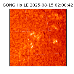 gong - 2025-08-15T02:00:42