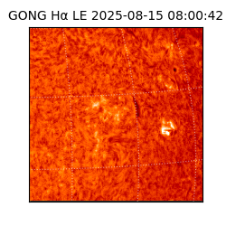 gong - 2025-08-15T08:00:42