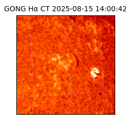 gong - 2025-08-15T14:00:42