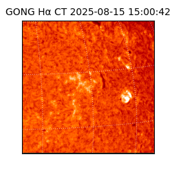 gong - 2025-08-15T15:00:42