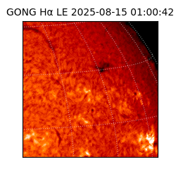 gong - 2025-08-15T01:00:42
