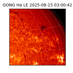 gong - 2025-08-15T03:00:42