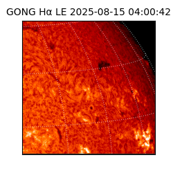 gong - 2025-08-15T04:00:42