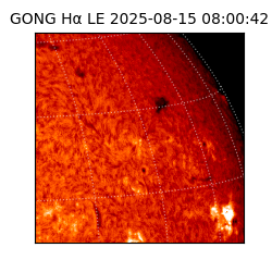 gong - 2025-08-15T08:00:42