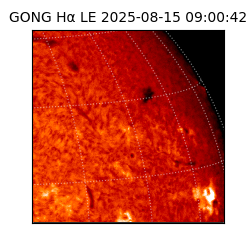 gong - 2025-08-15T09:00:42