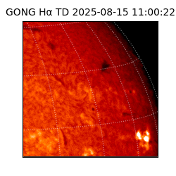 gong - 2025-08-15T11:00:22