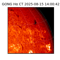 gong - 2025-08-15T14:00:42