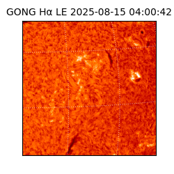 gong - 2025-08-15T04:00:42