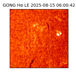 gong - 2025-08-15T06:00:42