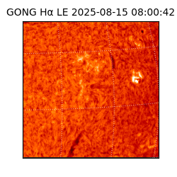 gong - 2025-08-15T08:00:42