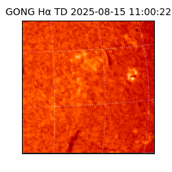 gong - 2025-08-15T11:00:22