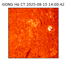 gong - 2025-08-15T14:00:42