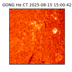 gong - 2025-08-15T15:00:42