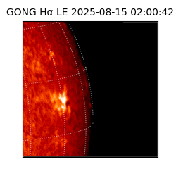 gong - 2025-08-15T02:00:42