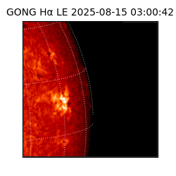 gong - 2025-08-15T03:00:42