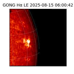 gong - 2025-08-15T06:00:42