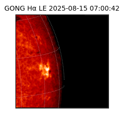 gong - 2025-08-15T07:00:42