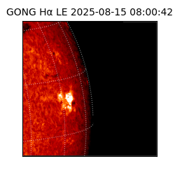 gong - 2025-08-15T08:00:42