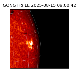 gong - 2025-08-15T09:00:42