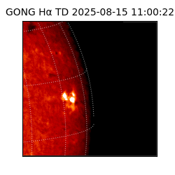 gong - 2025-08-15T11:00:22